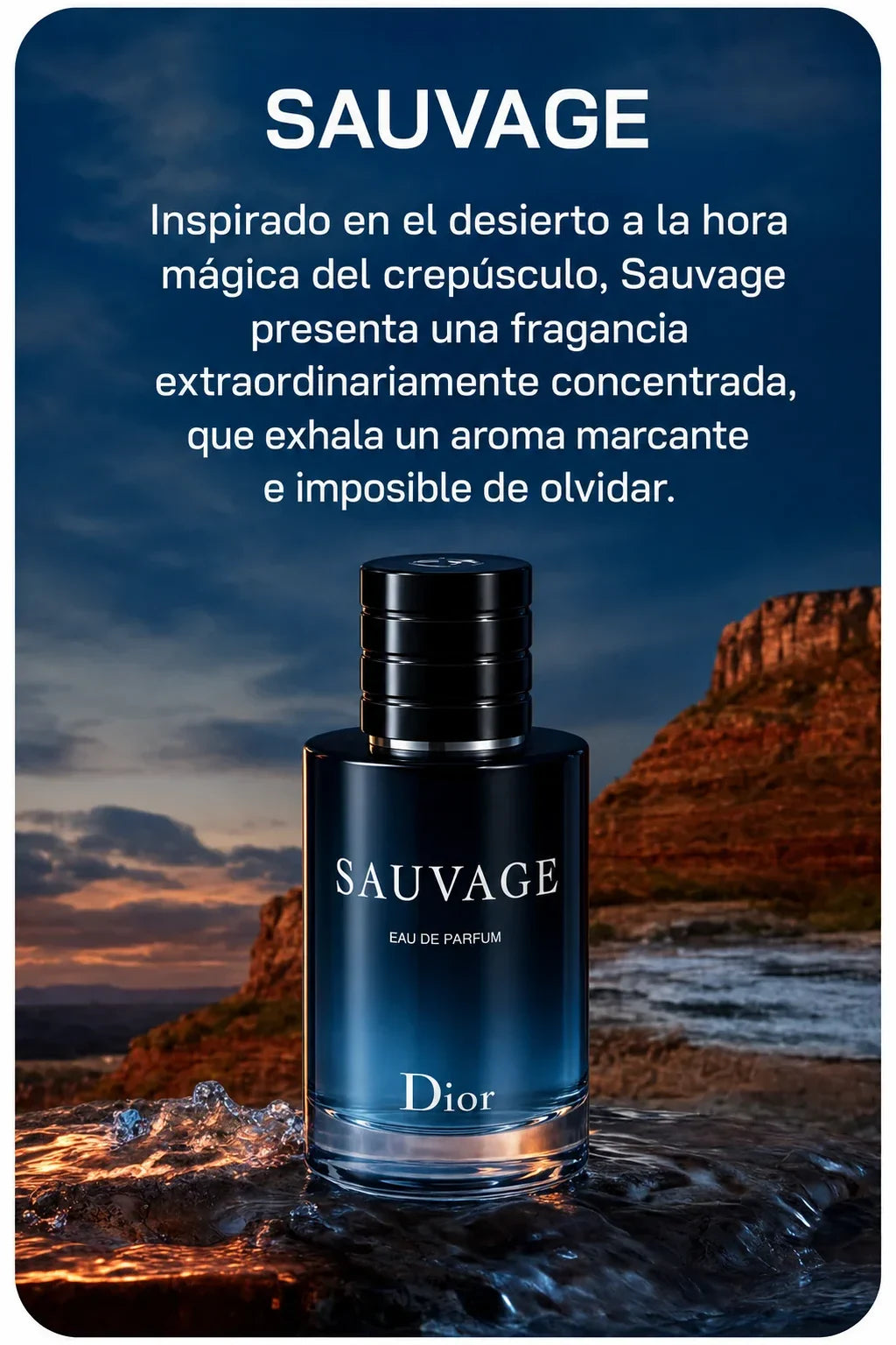 Perfume 1: fragancia fresca y amaderada